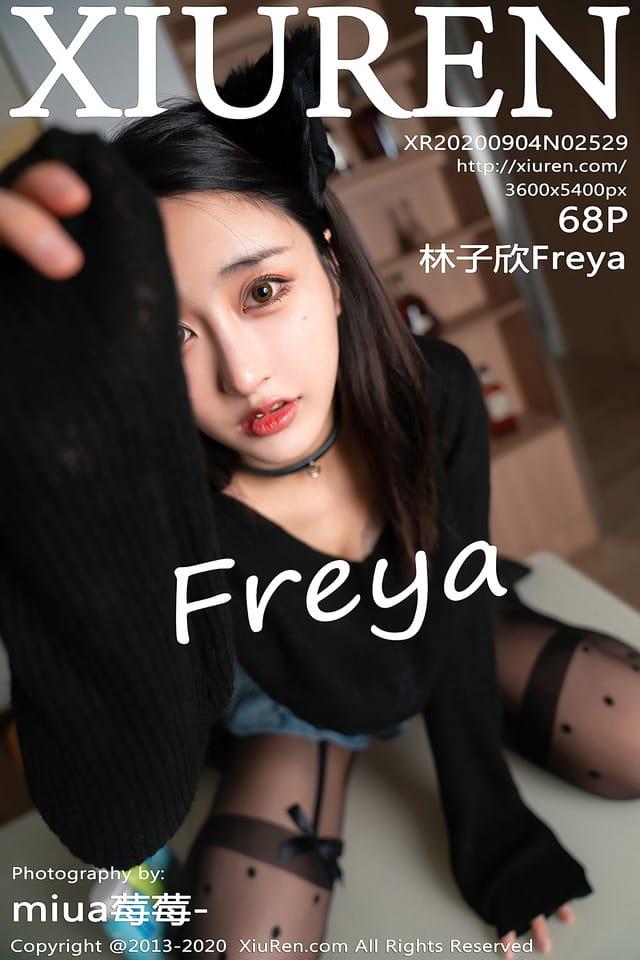 [Xiuren秀人网] 林子欣FreyaVol.2529 期[69P671M] – 2020.09.04